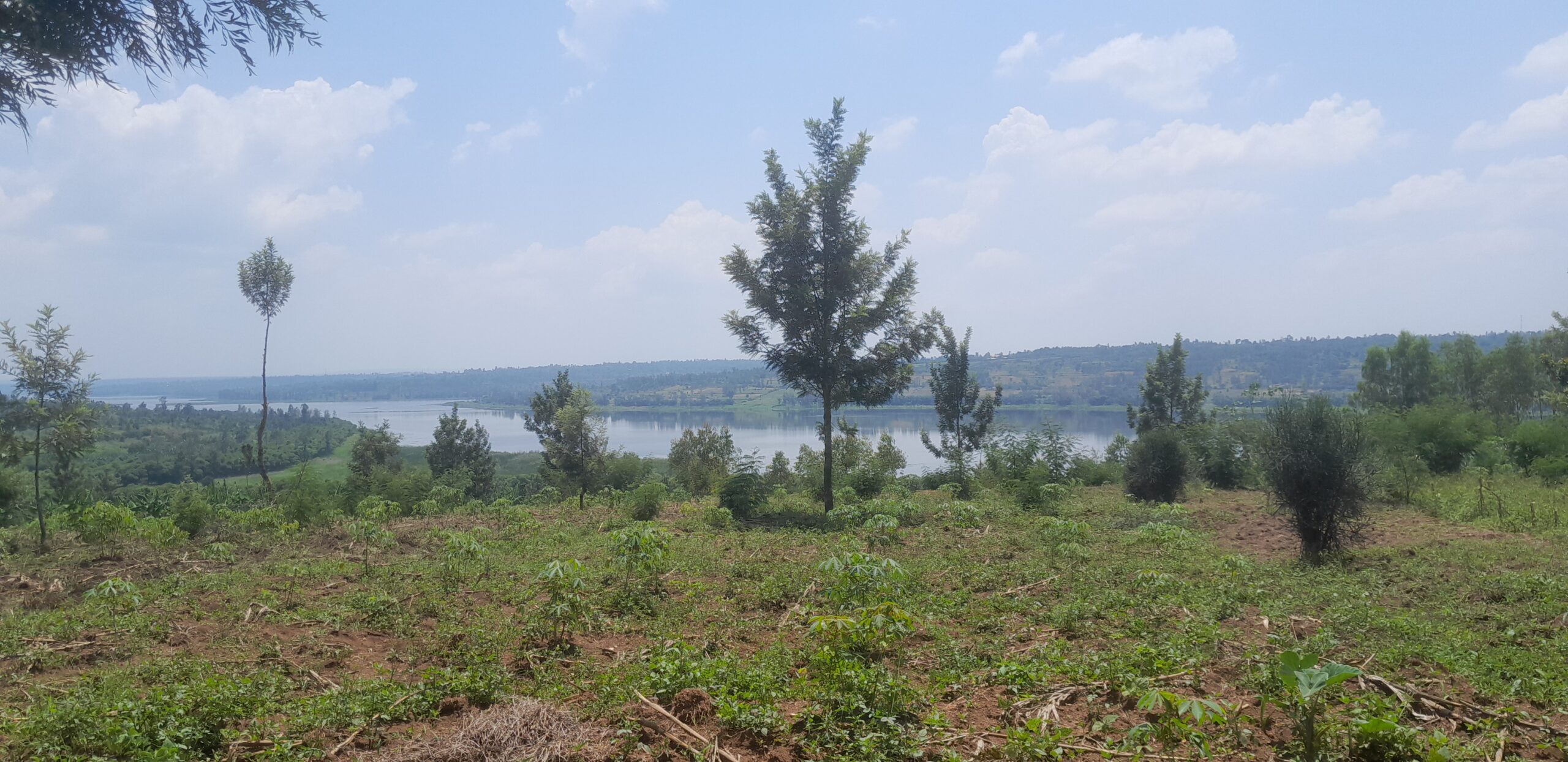 Bugesera Land (14)