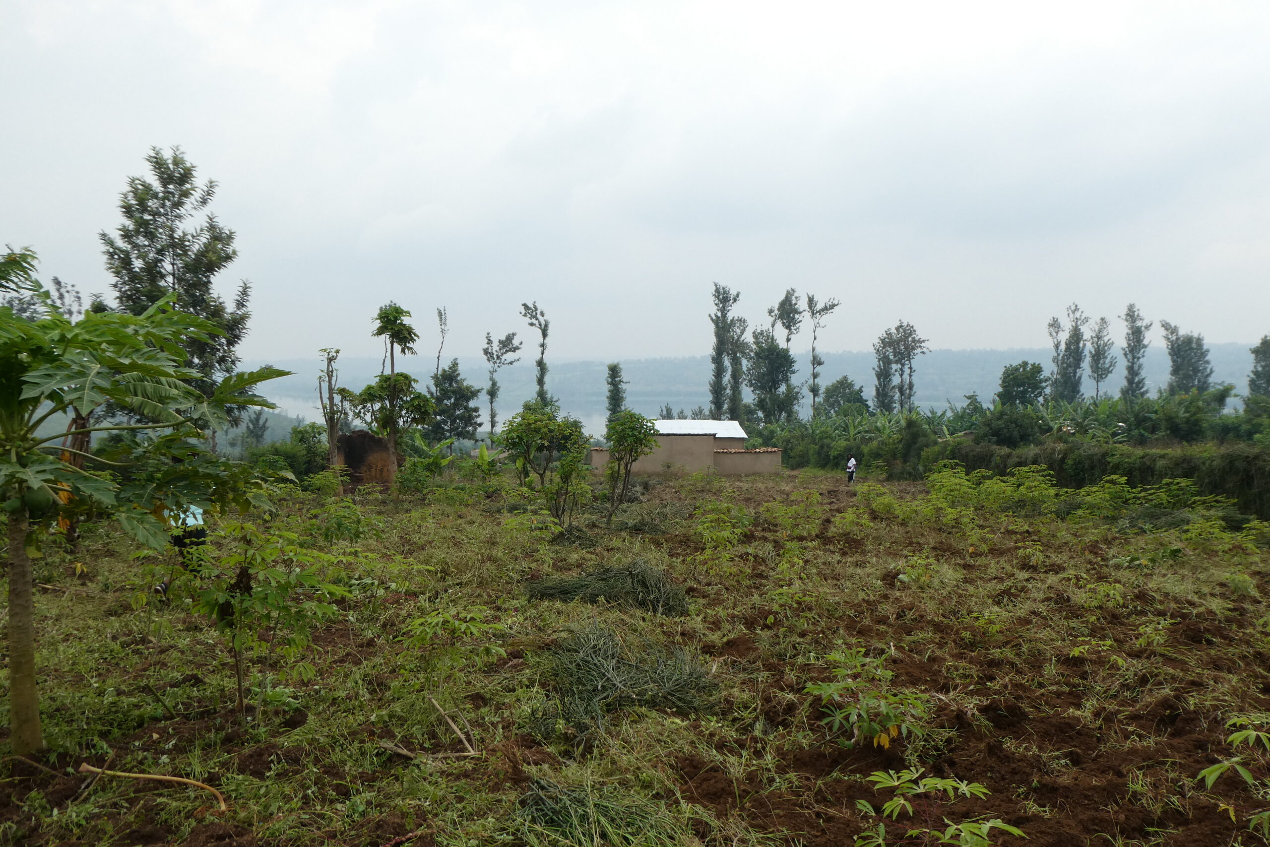 Bugesera Land (7)