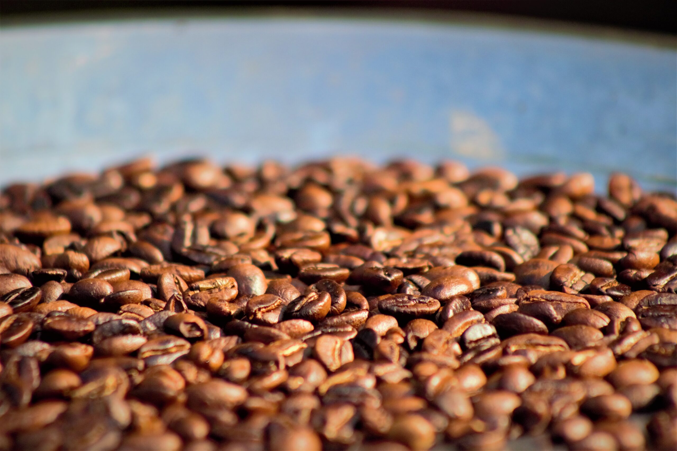 Coffee tour 02
