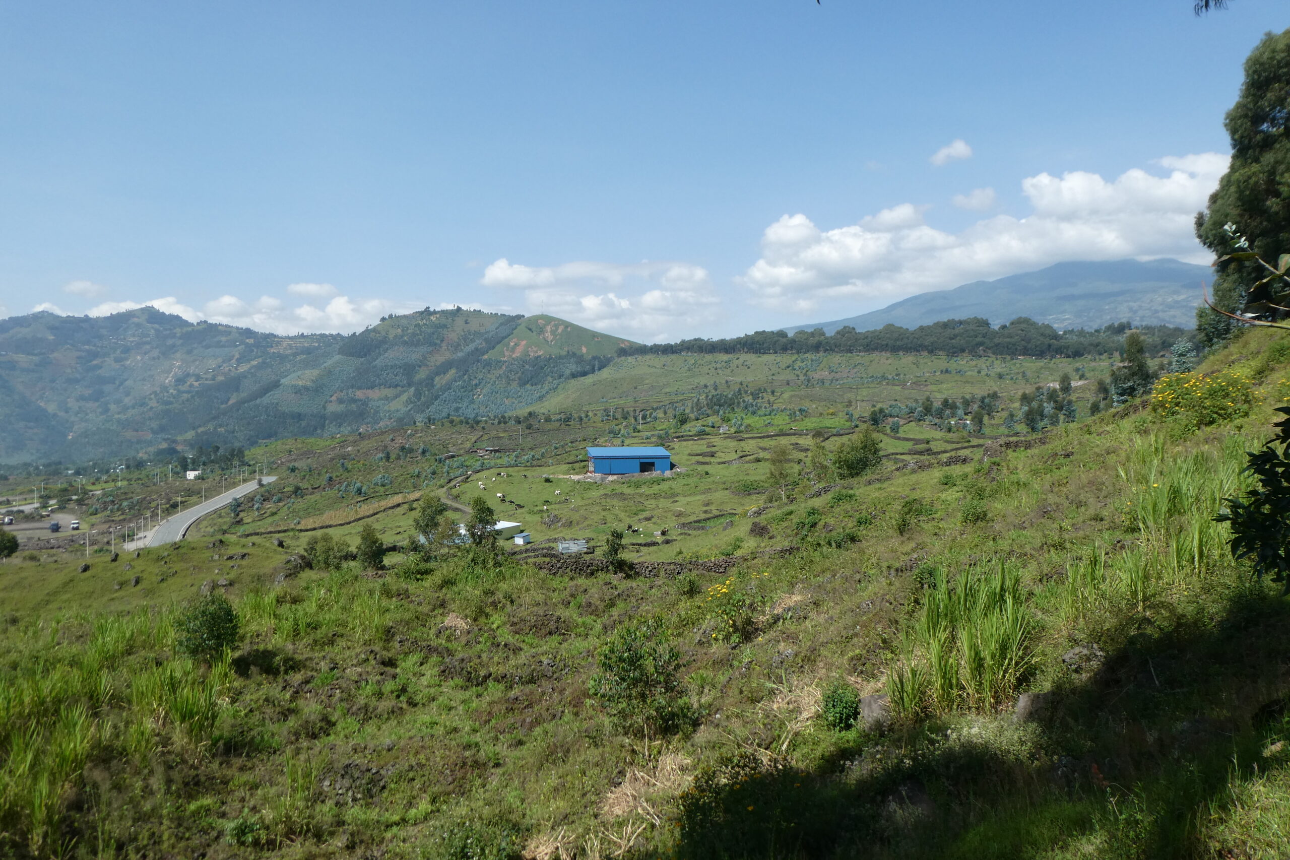 Drive to Gisenti (1)