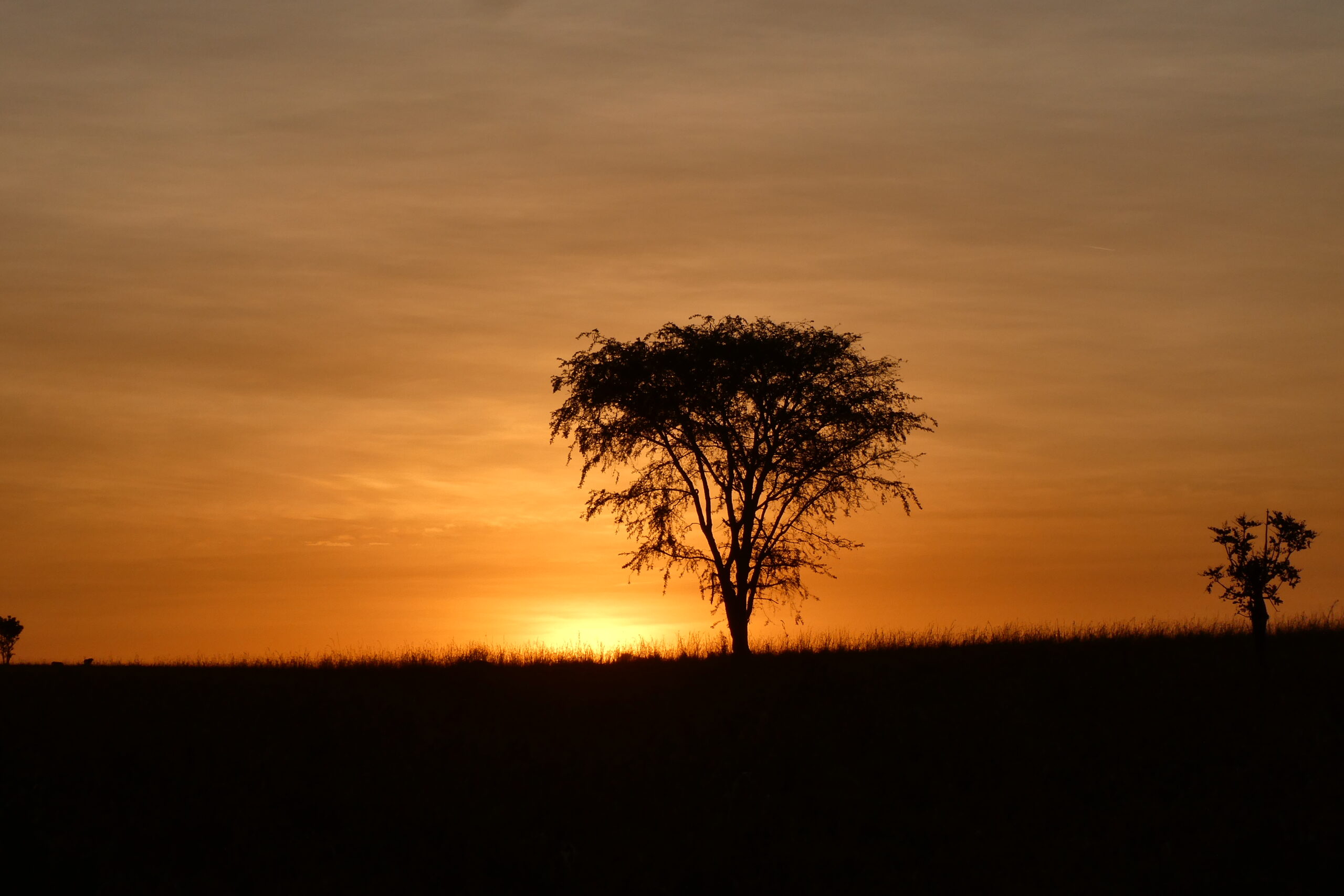 Kidepo NP 051