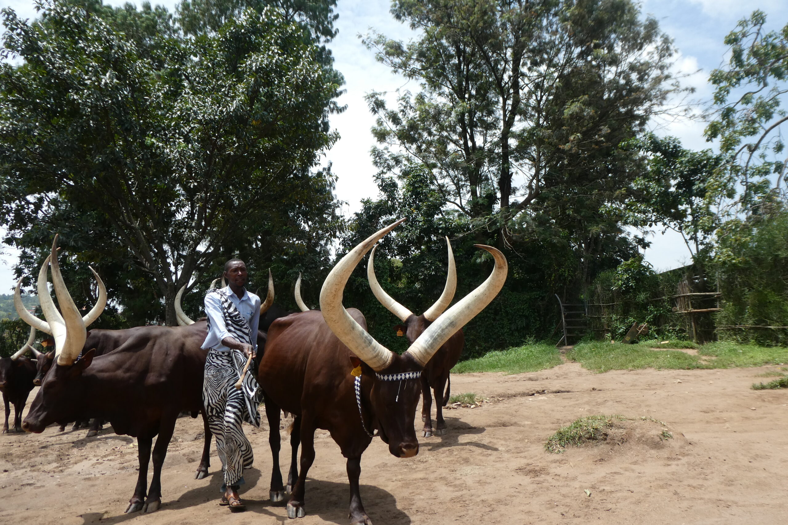 King`s Palace Nyanza (13)