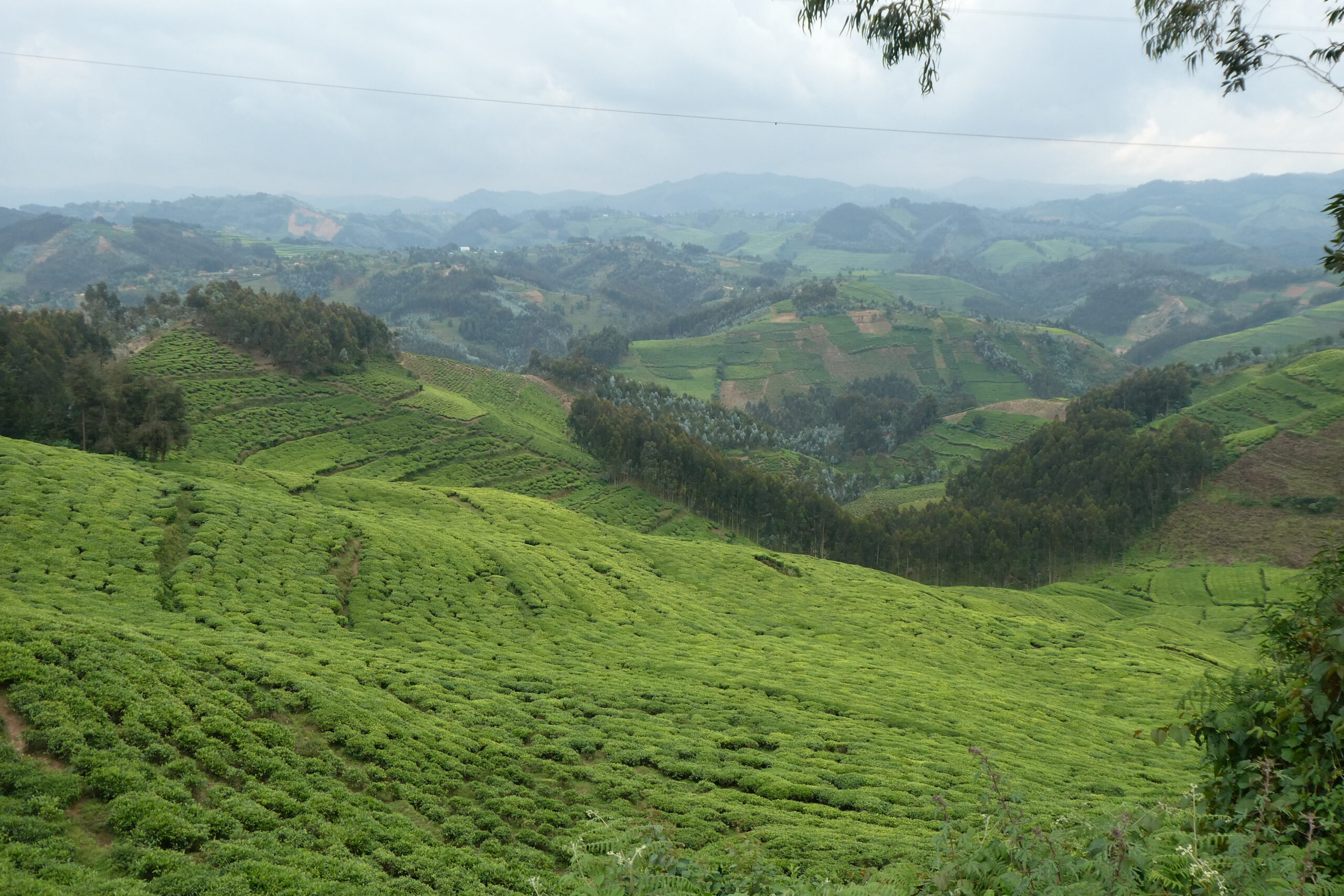 Lake Kivu (3)