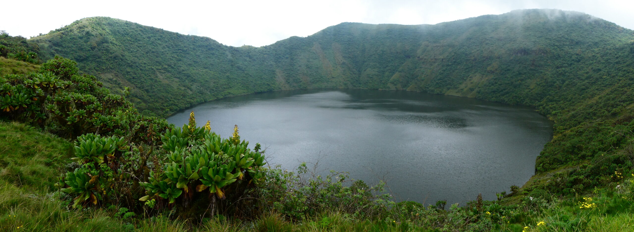 Mt. Bisoke (32)