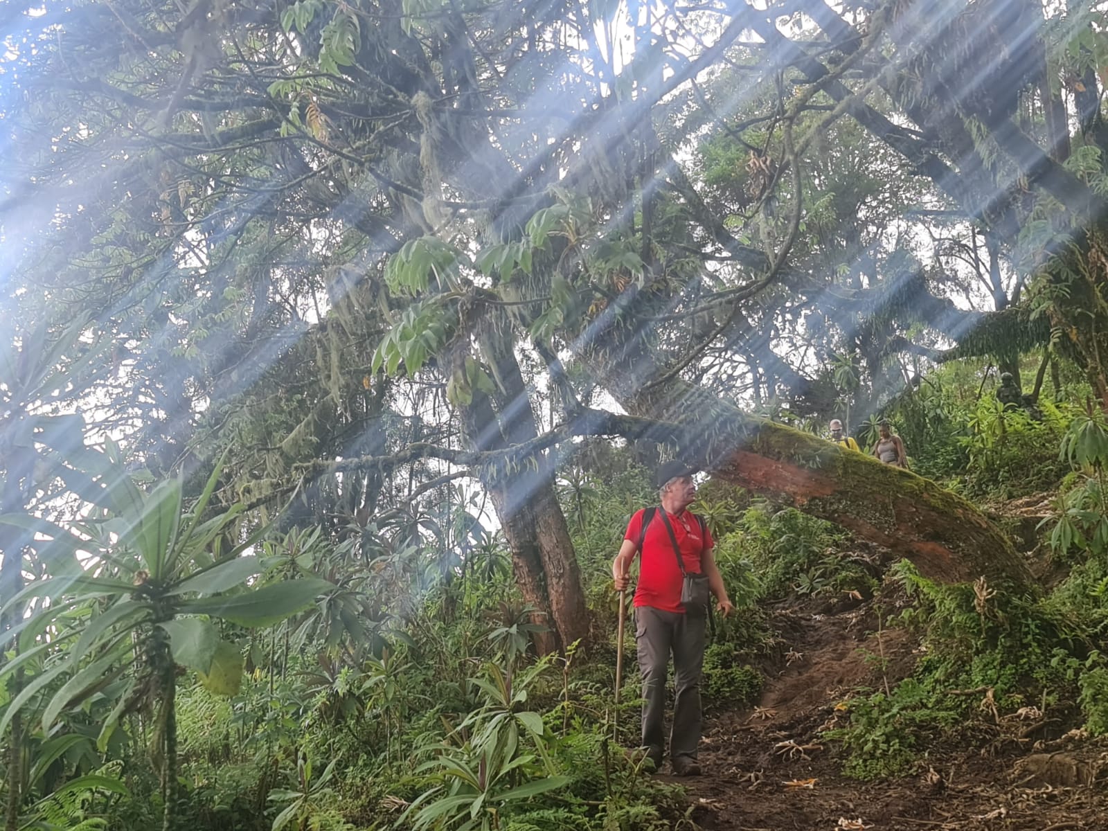 Mt. Bisoke (52)