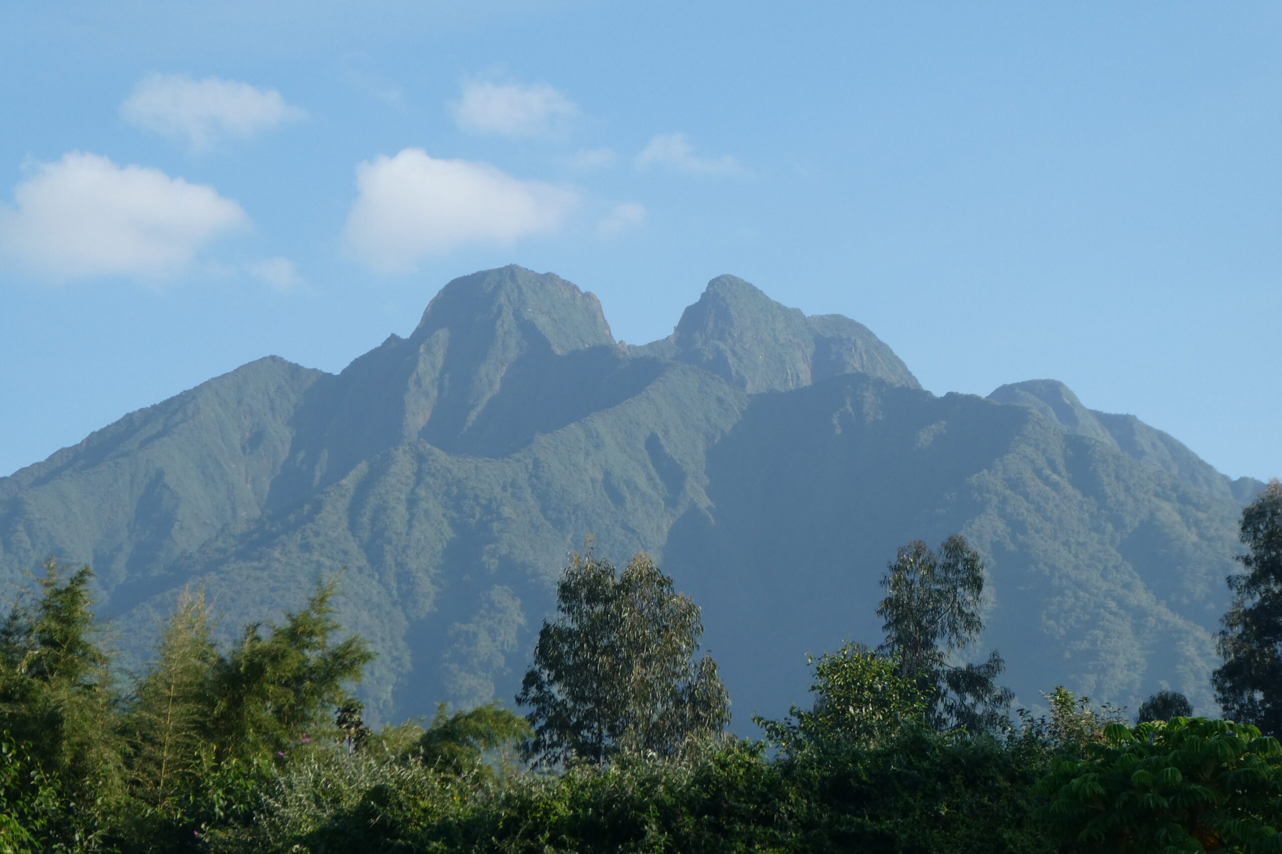 Mt. Bisoke (9)