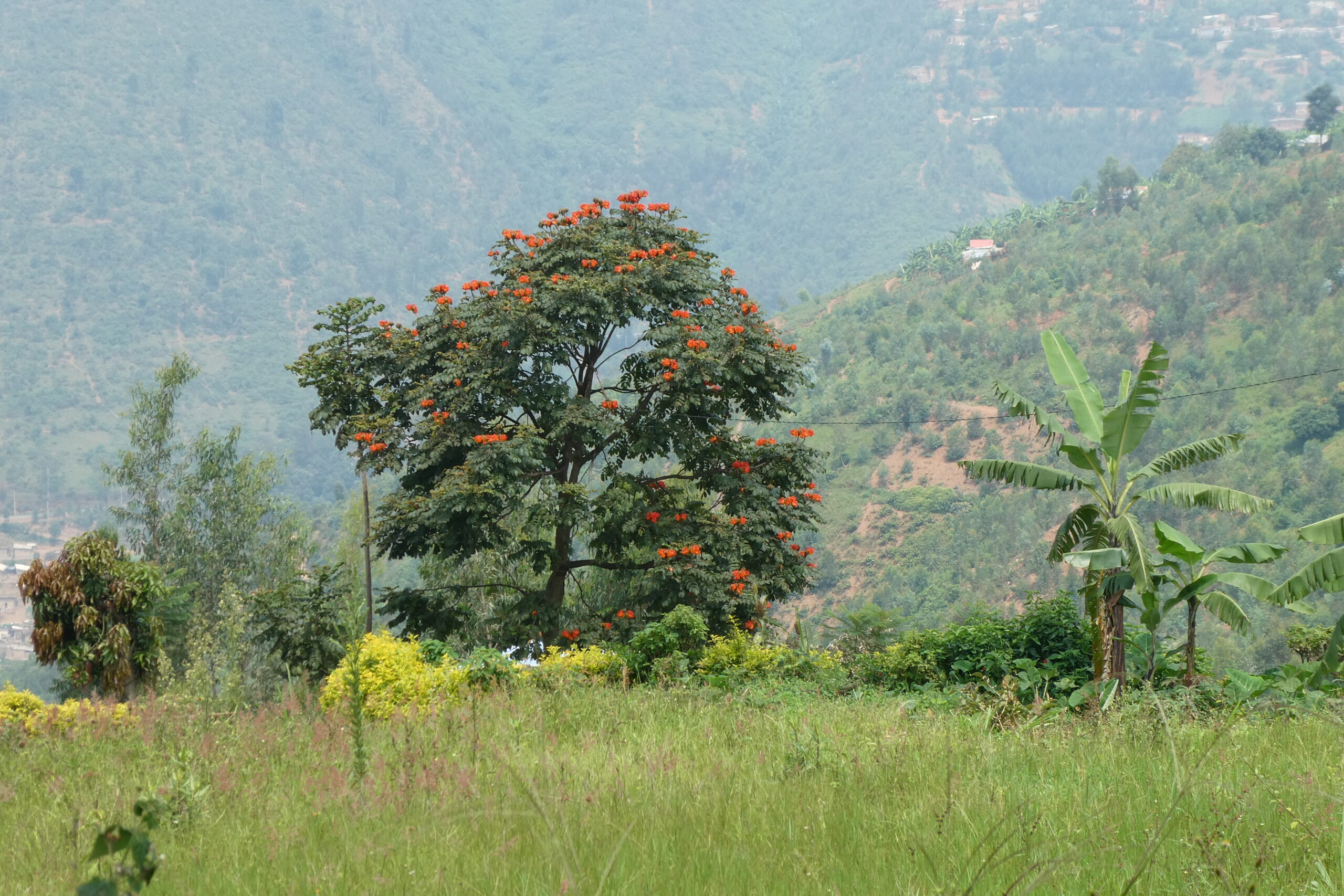 Mt. Kigali (8)