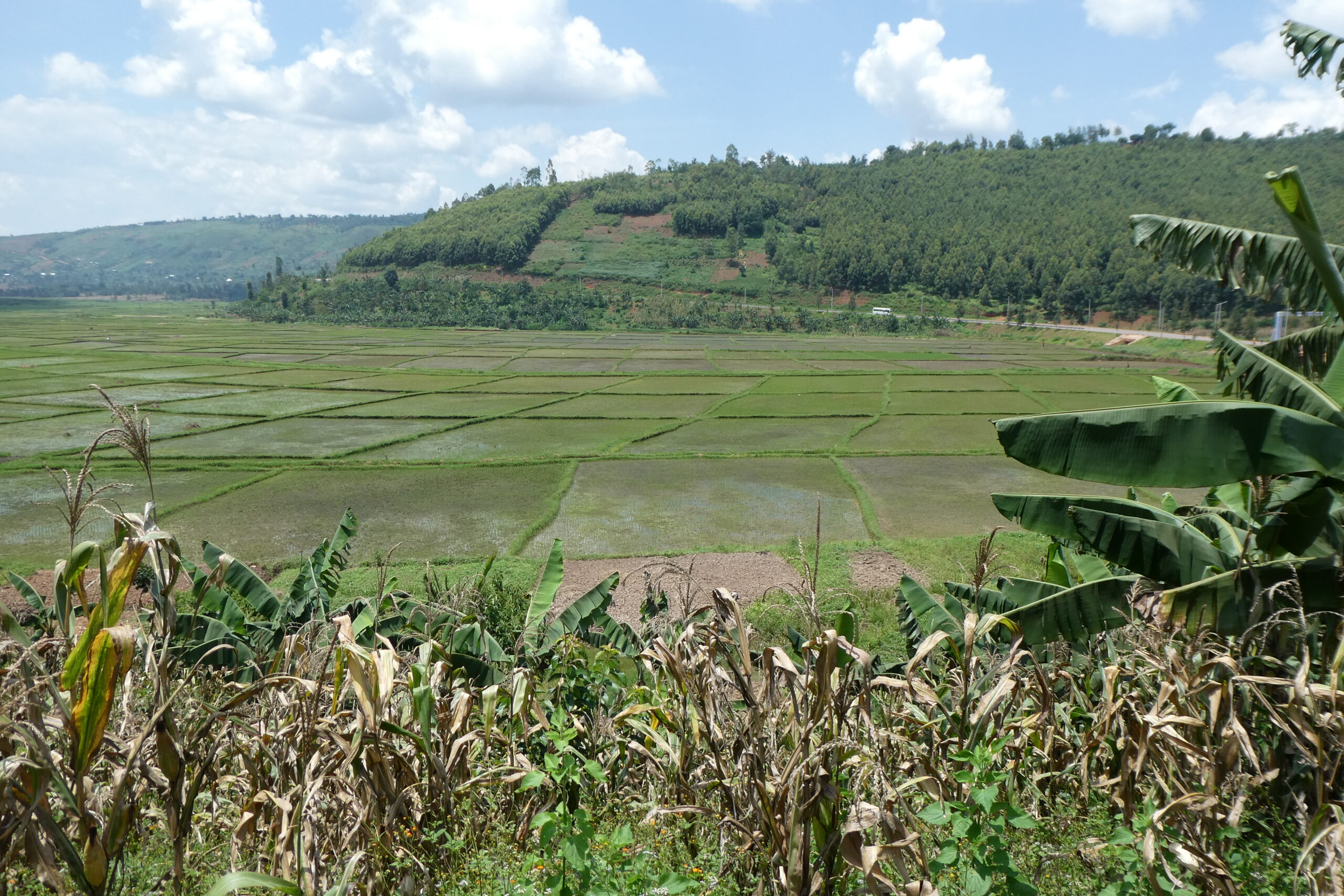 Rusomo Waterfall (4)