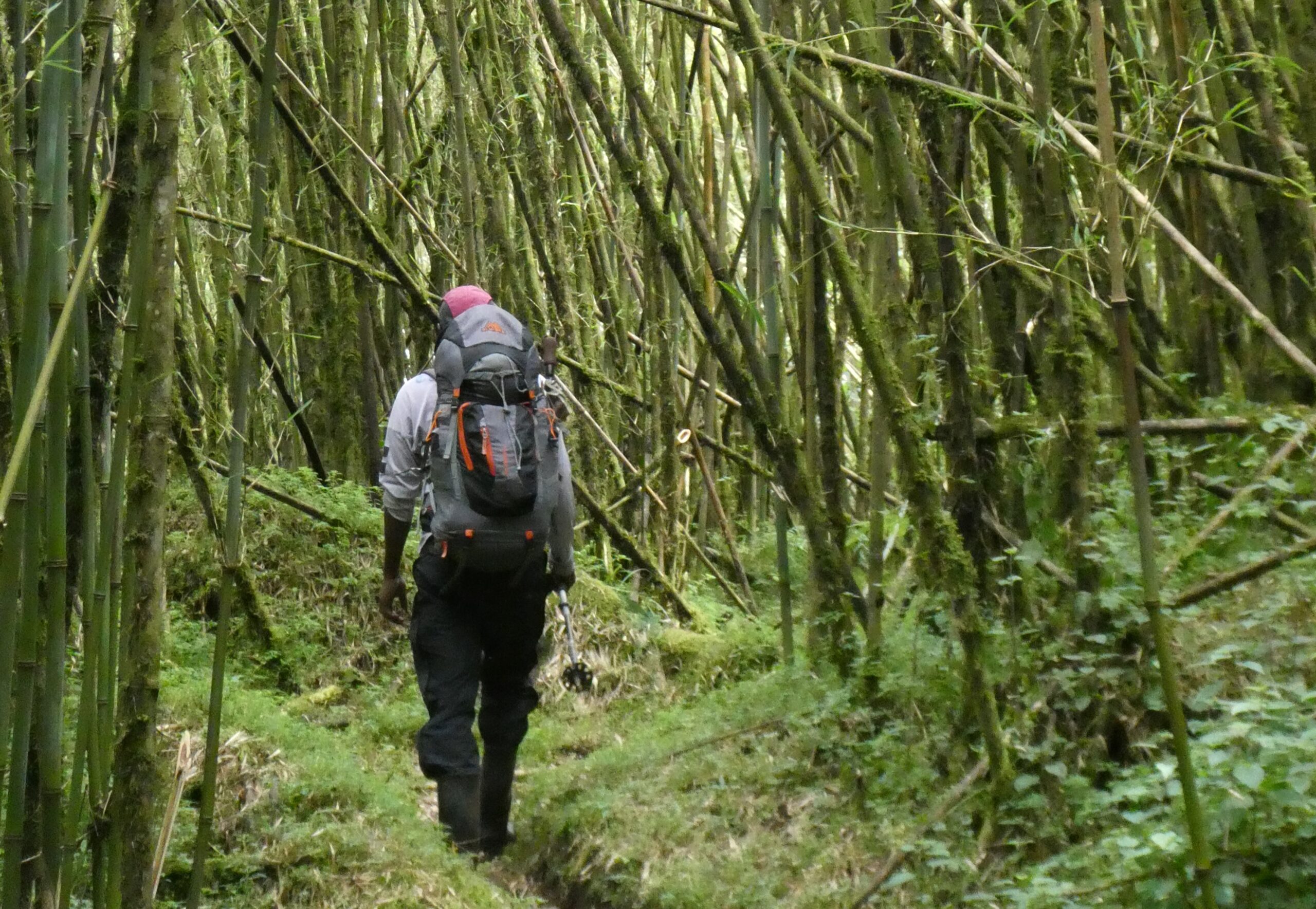 Rwenzori Mountains 7 (19)