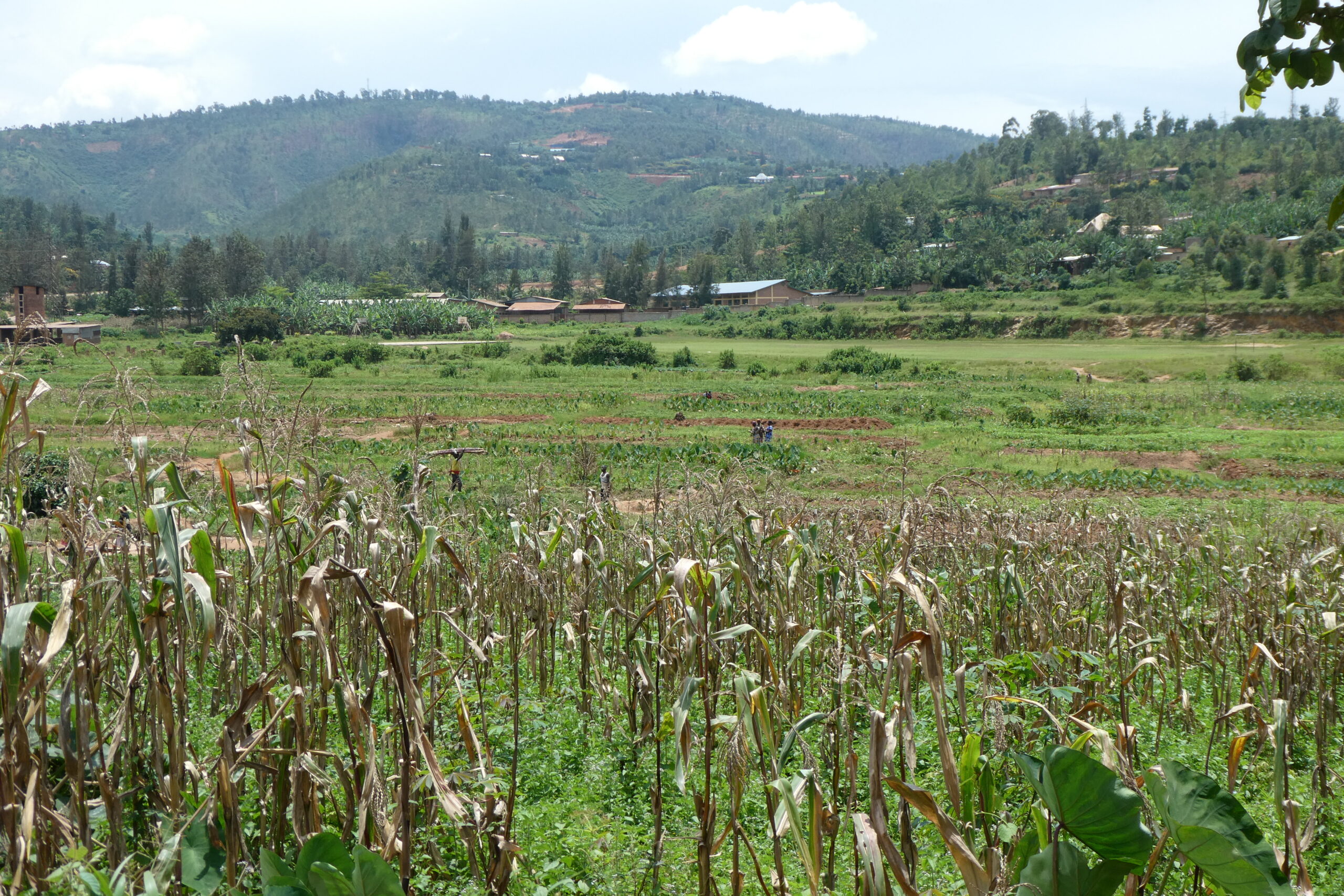 West of Kigali (10)
