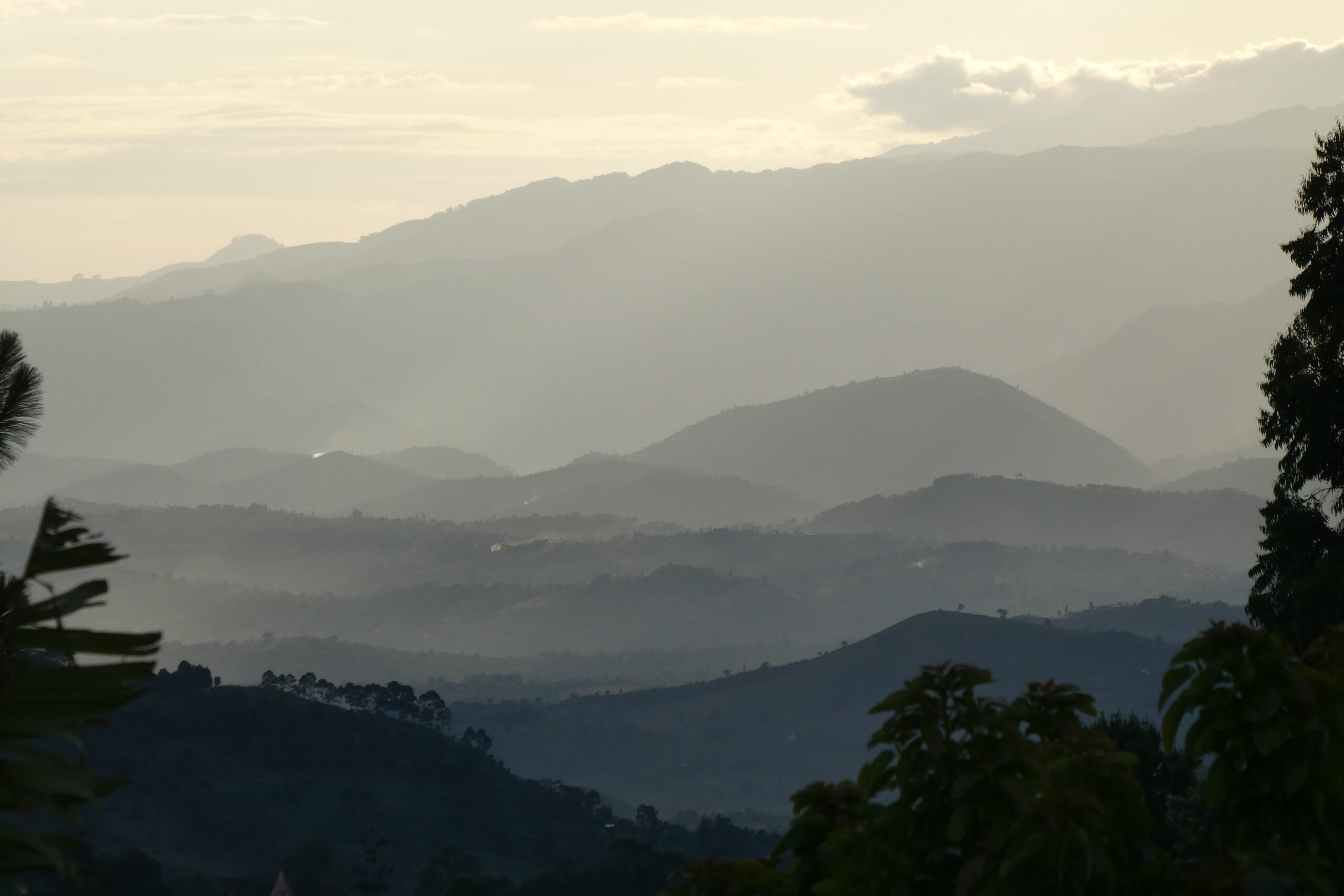 impression from rwenzori mountains 04